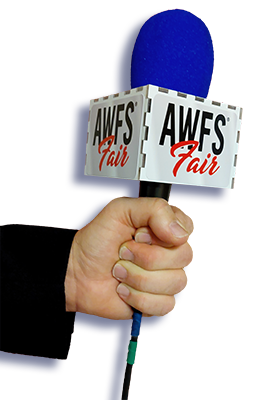 awfs-flash-400x254